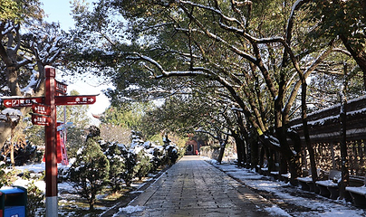 天香园第 15 张图片