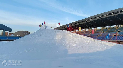 沈阳城市冰雪嘉年华第 3 张图片
