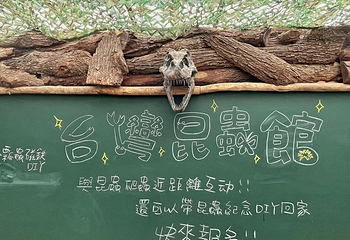 兰阳动植物王国第 51 张图片