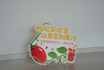 沃福百瑞宁夏枸杞馆第 15 张图片