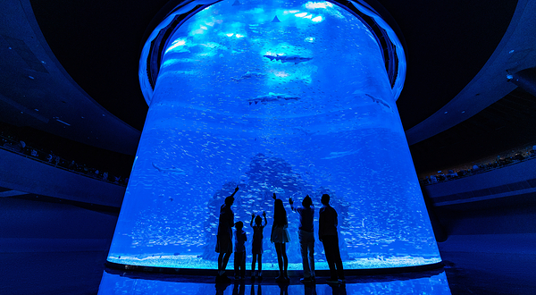 小梅沙海洋世界