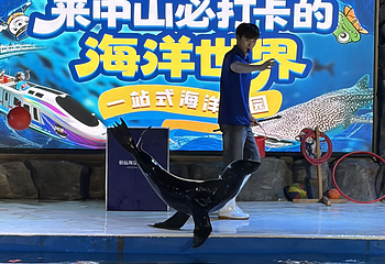 恒远海立方·中山海洋馆第 11 张图片