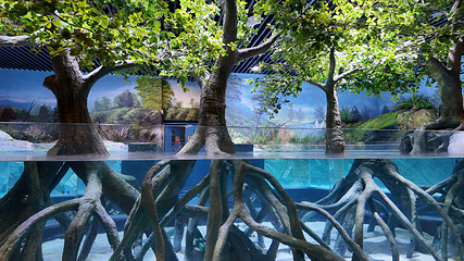 杭州西溪水族公园第 1 张图片