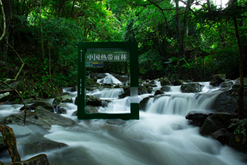 海南百花岭热带雨林文化旅游区第 37 张图片