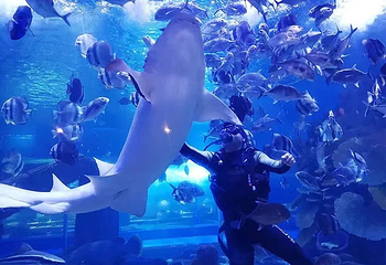 广汉海昌海洋探索馆第 5 张图片
