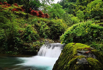 千岛湖红山谷景区第 8 张图片
