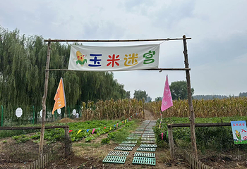 喜树自然小镇第 12 张图片
