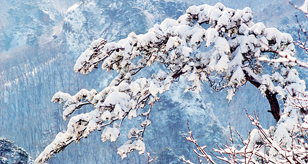 祖山风景区第 132 张图片