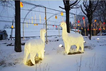 长白山戏雪冰钓第 7 张图片