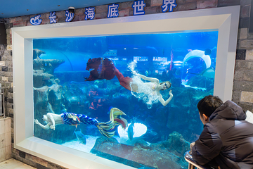 长沙海底世界第 34 张图片