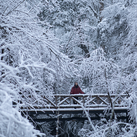 龙苍沟国家森林公园