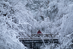 龙苍沟国家森林公园