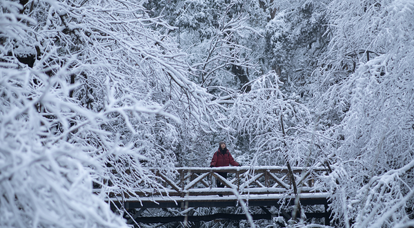龙苍沟国家森林公园
