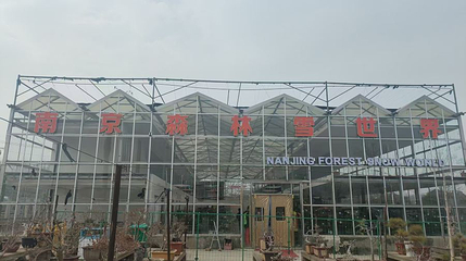 南京森林雪世界第 1 张图片