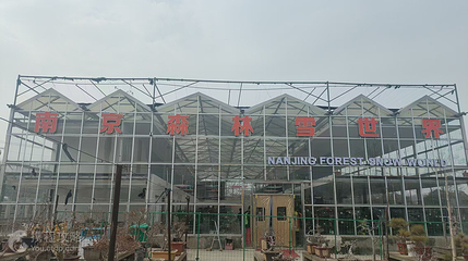 南京森林雪世界第 2 张图片