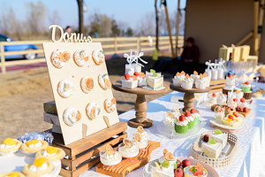 金鹏皇庆湖旅游度假区