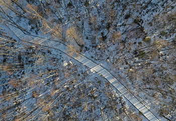 长白山红松王滑雪场第 19 张图片