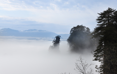 光雾山旅游景区第 64 张图片