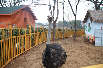 中洲岛旅游度假区第 7 张图片