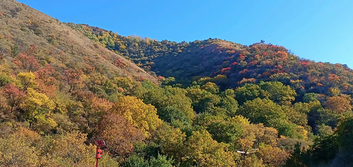 野核桃沟第 14 张图片