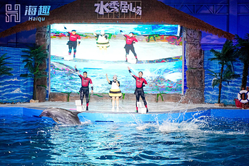 海趣花都海洋世界第 32 张图片