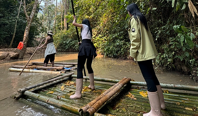 基诺山雨林徒步第 15 张图片