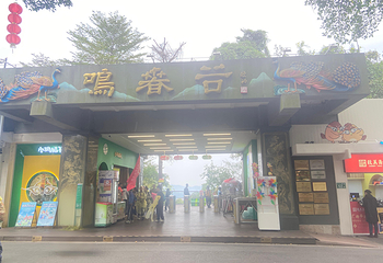 云山丛林飞跃乐园第 75 张图片