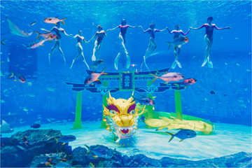 上海海昌海洋公园第 146 张图片