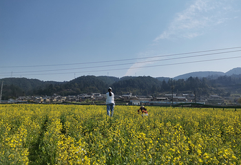镇北艺术田园景区第 17 张图片