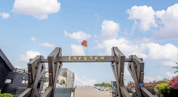 鲁海丰海洋牧场