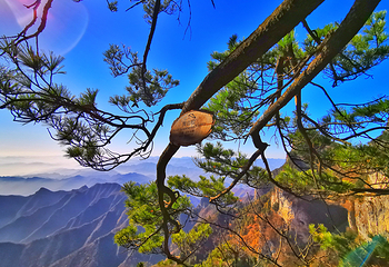 秦岭天竺山生态文化旅游景区第 14 张图片