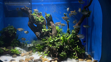 浙东淡水鱼馆第 3 张图片