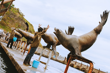 小樽水族馆第 4 张图片