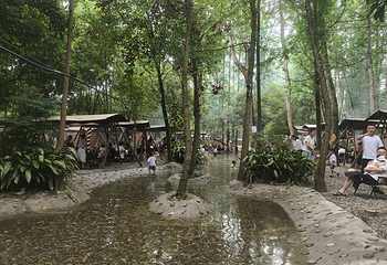 清水里森林营地第 24 张图片