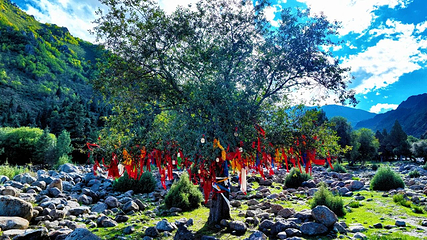 祁连山冰沟河景区第 113 张图片