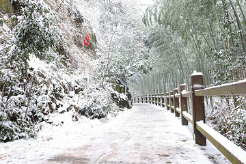 天目湖南山竹海第 170 张图片