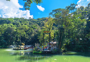 海南百花岭热带雨林文化旅游区第 5 张图片