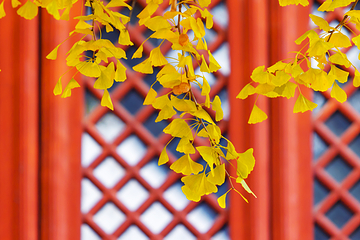 红螺寺第 48 张图片