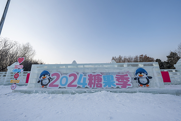沈阳奥体冰雪嘉年华第 88 张图片