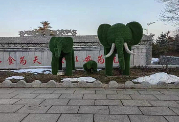 山泰生态园滑雪场第 10 张图片