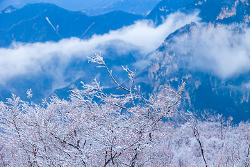 云台山风景名胜区第 117 张图片