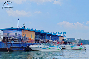广旅海豚湾出海寻豚第 6 张图片