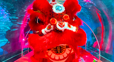 兰州极地海洋世界第 7 张图片