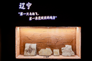 醉·辽宁艺云数字艺术中心第 16 张图片