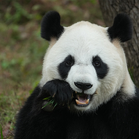 杭州野生动物世界