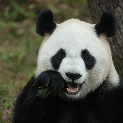 杭州野生动物世界