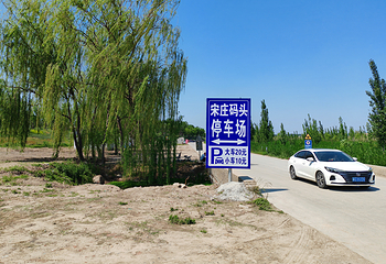 白洋淀宋庄码头风景区第 11 张图片