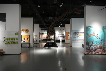 新琅琊恐龙展-《人与生物学》展学空间第 1 张图片