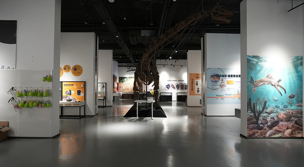 新琅琊恐龙展-《人与生物学》展学空间