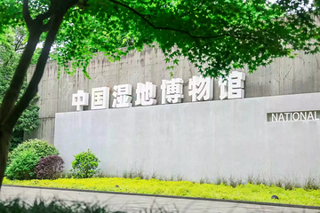 合家欢生态体验剧《洄游》第 8 张图片
